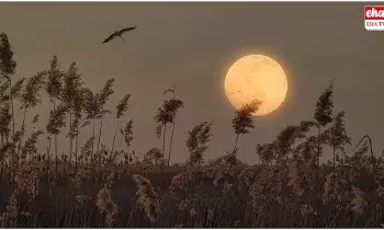 Super Moon Tonight :  ఈరోజు రాత్రి ఆకాశంలో అద్భుతం..!