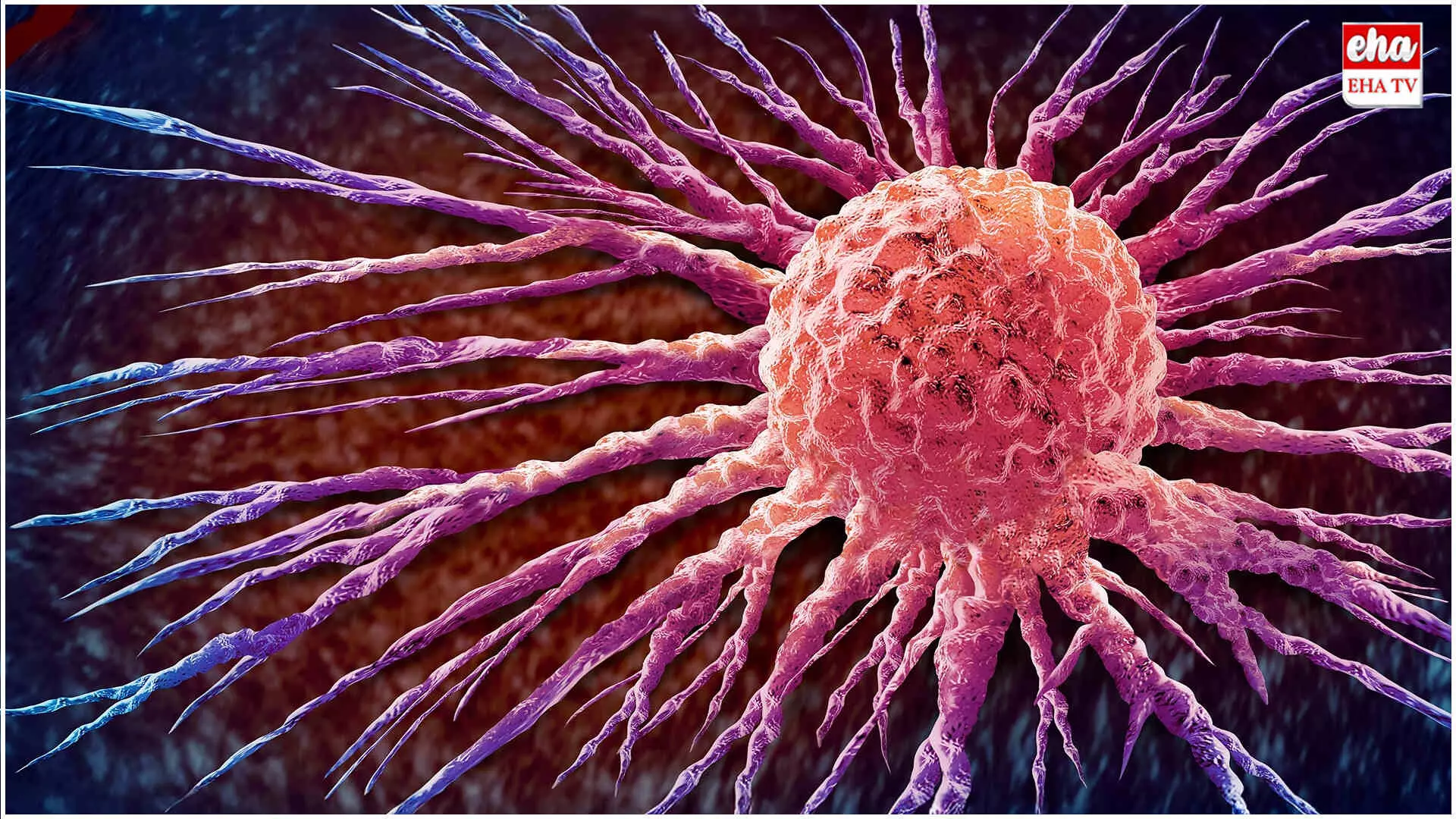 Northwestern University : సాధారణ క్యాన్సర్ ఇంజెక్షన్ కంటే 20 వేల రెట్లు ఎఫీషియెంట్గా పనిచేసే క్యాన్సర్ ఇంజెక్షన్..! Northwestern University : సాధారణ క్యాన్సర్ ఇంజెక్షన్ కంటే 20 వేల రెట్లు ఎఫీషియెంట్గా పనిచేసే క్యాన్సర్ ఇంజెక్షన్..!