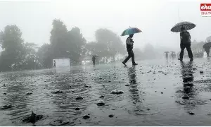 Heavy Rains : బంగాళాఖాతంలో మరో అల్పపీడనం.. నవంబర్ 17 నుంచి భారీ వర్షాలు Heavy Rains : బంగాళాఖాతంలో మరో అల్పపీడనం.. నవంబర్ 17 నుంచి భారీ వర్షాలు