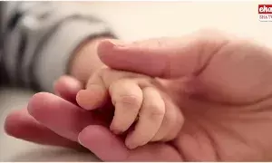 Latest News : నిబ్బి.. నిబ్బా.. లవ్ ట్రాక్.. సీన్ కట్ చేస్తే ఇద్దరికీ ఓ పాప..! Latest News : నిబ్బి.. నిబ్బా.. లవ్ ట్రాక్.. సీన్ కట్ చేస్తే ఇద్దరికీ ఓ పాప..!