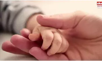 Latest News : నిబ్బి.. నిబ్బా.. లవ్ ట్రాక్.. సీన్‌ కట్‌ చేస్తే ఇద్దరికీ ఓ పాప..!