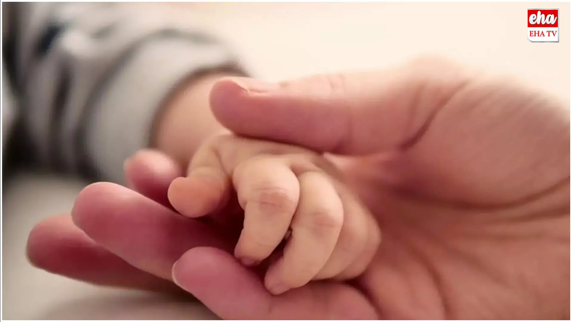 Latest News : నిబ్బి.. నిబ్బా.. లవ్ ట్రాక్.. సీన్‌ కట్‌ చేస్తే ఇద్దరికీ ఓ పాప..!