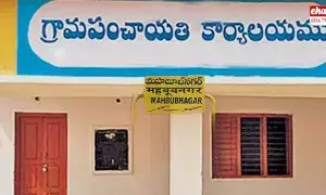 Sarpanch Oath Chaos :  ఓ సర్పంచ్ ప్రమాణస్వీకారంలో విచిత్ర ఘటన..!