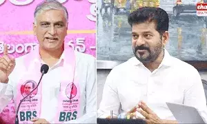 BRS MLA Harish Rao : CM రేవంత్‌ ఓ మరుగుజ్జు: హరీష్‌రావు..