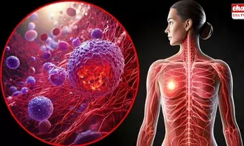 Breast Cancer : రొమ్ము క్యాన్సర్‌ రోగులకు గుడ్‌ న్యూస్.. త్వరలోనే ఎఫెక్టివ్ ఇంజక్షన్..!