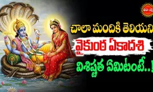Vaikuntha Ekadashi  :  వైకుంఠ ఏకదాశి విశేషాలు..  పూజా విధానం..!