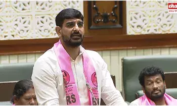 MLA Kaushik Reddy, అసెంబ్లీలో ఎమ్మెల్యే కౌశిక్‌రెడ్డి సంచలన వ్యాఖ్యలు