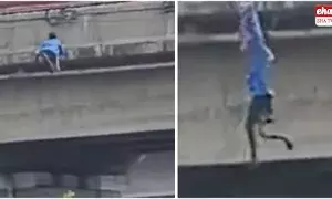 Chennai flyover stunt :  ఫ్లైఓవర్‌పై ప్రమాదకర స్టంట్‌.. కేబుల్‌ వైరు పట్టుకొని జారుతుండగా.. నేలపై పడి గాయాలు..!
