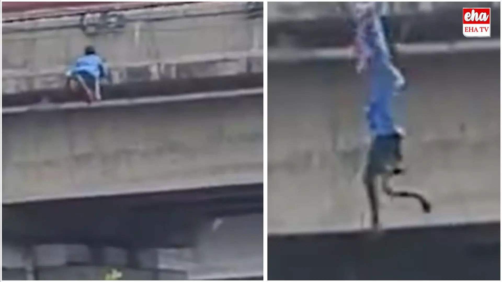Chennai flyover stunt : ఫ్లైఓవర్పై ప్రమాదకర స్టంట్.. కేబుల్ వైరు పట్టుకొని జారుతుండగా.. నేలపై పడి గాయాలు..! Chennai flyover stunt : ఫ్లైఓవర్పై ప్రమాదకర స్టంట్.. కేబుల్ వైరు పట్టుకొని జారుతుండగా.. నేలపై పడి గాయాలు..!