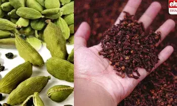 Business Plans: కేరళలో స్పైసెస్‌ కొని.. స్థానిక మార్కెట్‌లో ప్యాకెట్ల రూపంలో అమ్ముకుంటే లాభాల పంట..!