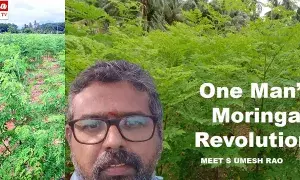 Morangi cultivation: మునగ సాగు.. ఎకరానికి రూ.4 లక్షల ఆదాయం..! ఈ రైతు స్టోరీ ఓ ఇన్స్‌ప్రేషన్‌..!