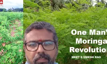 Morangi cultivation: మునగ సాగు.. ఎకరానికి రూ.4 లక్షల ఆదాయం..! ఈ రైతు స్టోరీ ఓ ఇన్స్‌ప్రేషన్‌..!