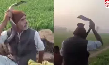 An old man died by Snake: నాగపాముతో ఆడుకున్నాడు.. అది కాటేయడంతో ప్రాణం వదిలిన వృద్ధుడు..! వీడియో వైరల్..!