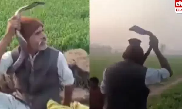 An old man died by Snake: నాగపాముతో ఆడుకున్నాడు.. అది కాటేయడంతో ప్రాణం వదిలిన వృద్ధుడు..! వీడియో వైరల్..!