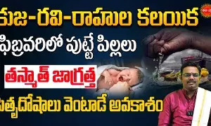 C-section before February 13th: ఈ ఫిబ్రవరిలో పుట్టే పిల్లలకు పితృదోషాలు వెంటాడుతాయా..! సి-సెక్షన్‌ ఫిబ్రవరి 13లోపే..!