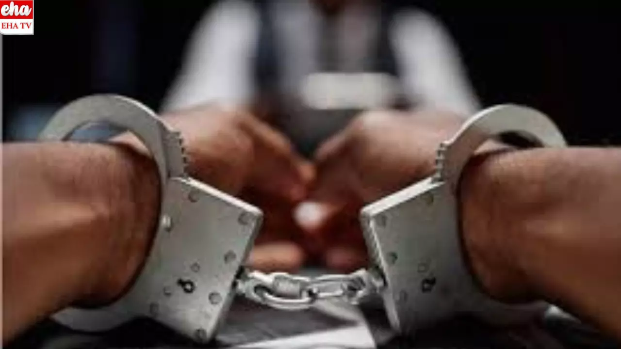 MahaShivarathri: శివయ్యకు ప్రసాదంగా గంజాయి...? ఫేమస్ కావడం కోసం ఎంతకైనా తెగిస్తారా...? MahaShivarathri: శివయ్యకు ప్రసాదంగా గంజాయి...? ఫేమస్ కావడం కోసం ఎంతకైనా తెగిస్తారా...?