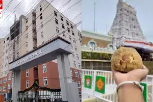 Tirumala laddu issue: తిరుమల లడ్డు విషయంలో కూటమి ప్రభుత్వానికి, ఎల్లో మీడియాకు మరో షాక్