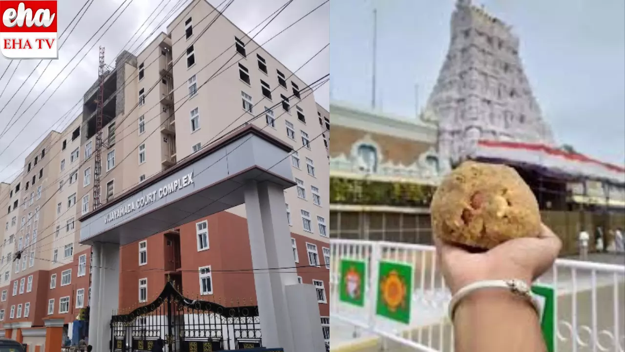 Tirumala laddu issue: తిరుమల లడ్డు విషయంలో కూటమి ప్రభుత్వానికి, ఎల్లో మీడియాకు మరో షాక్ Tirumala laddu issue: తిరుమల లడ్డు విషయంలో కూటమి ప్రభుత్వానికి, ఎల్లో మీడియాకు మరో షాక్