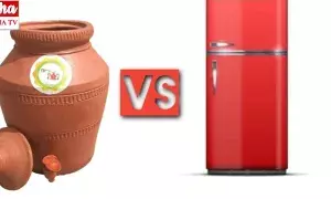 Pot Water vs Fridge Water: మట్టికుండ నీరు బెటరా.. ఫ్రిడ్జ్ నీరు బెటరా..! ఆరోగ్య నిపుణులేమంటున్నారు..! Pot Water vs Fridge Water: మట్టికుండ నీరు బెటరా.. ఫ్రిడ్జ్ నీరు బెటరా..! ఆరోగ్య నిపుణులేమంటున్నారు..!
