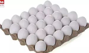 Egg prices: భారీగా పడిపోయిన గుడ్ల ధరలు..!