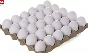 Egg prices: భారీగా పడిపోయిన గుడ్ల ధరలు..!