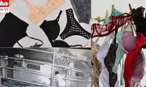 మహిళల బ్రాలు, డ్రాయర్లే టార్గెట్..ఇళ్లలో చొరబడి ఓ దొంగ..!