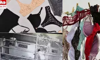 మహిళల బ్రాలు, డ్రాయర్లే టార్గెట్..ఇళ్లలో చొరబడి ఓ దొంగ..!